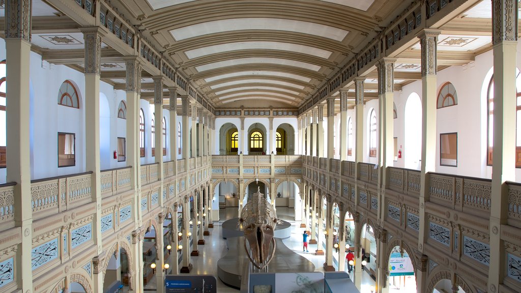 Museu Nacional de História Natural caracterizando vistas internas e uma cidade