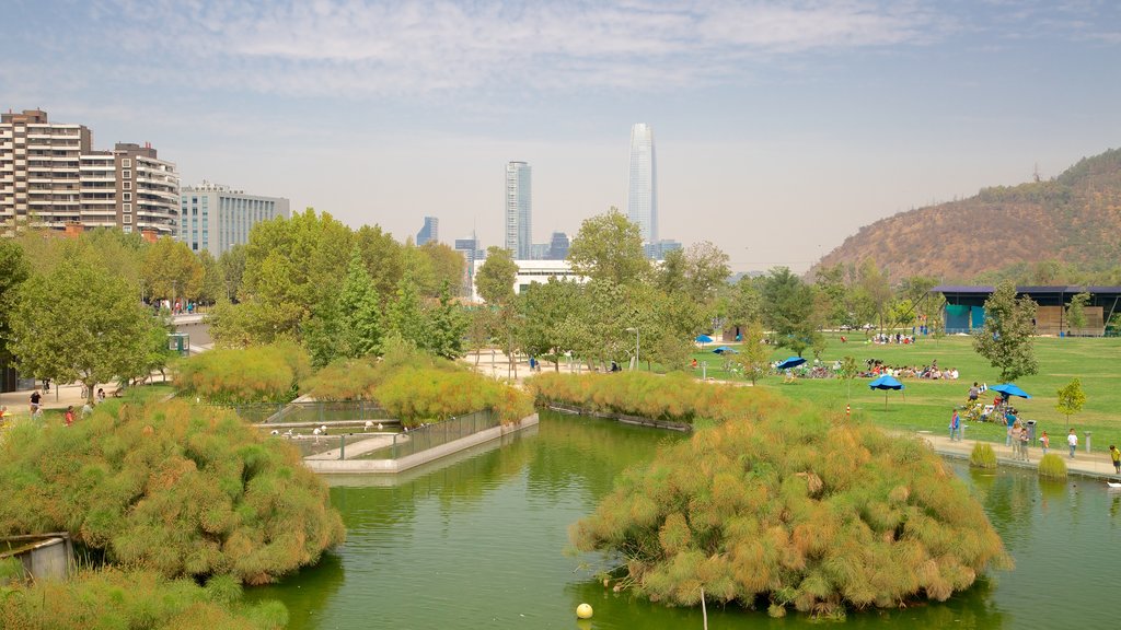 Santiago mostrando un parque y un estanque