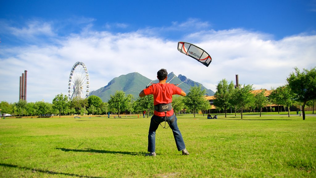 Fundidora Park showing a park as well as an individual male