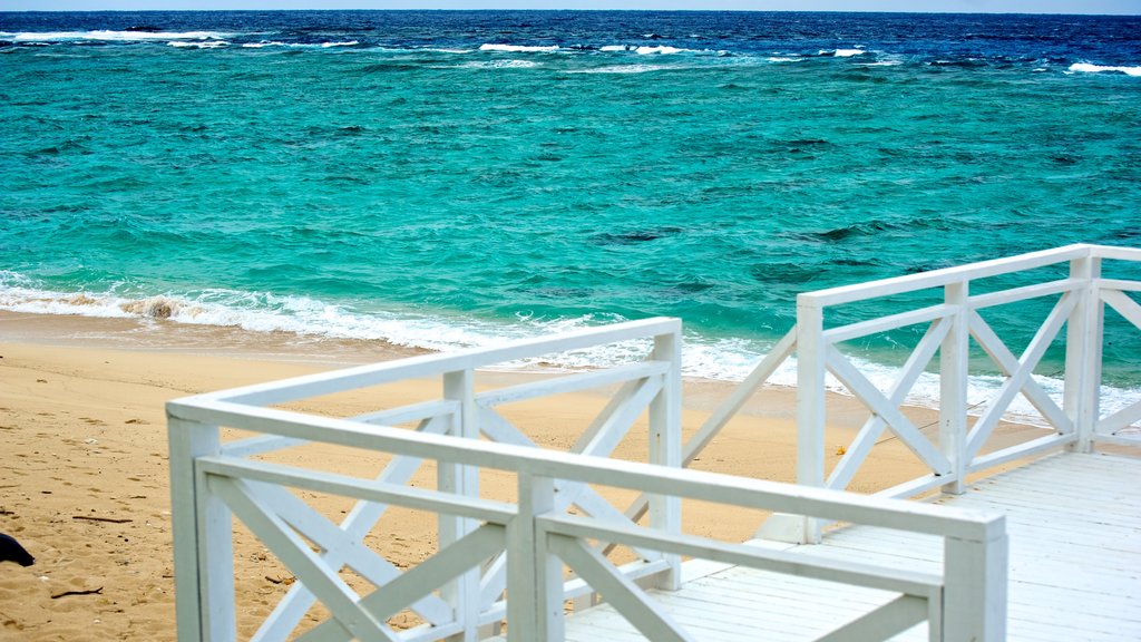 Mission Beach featuring a sandy beach