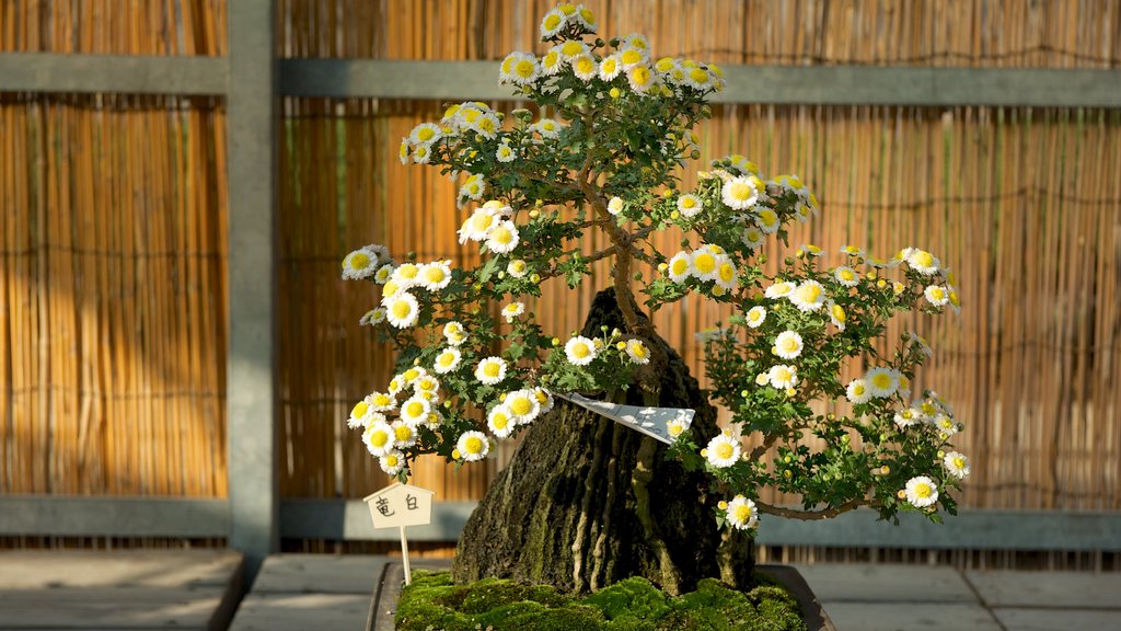 Nagoya Castle featuring wild flowers and flowers