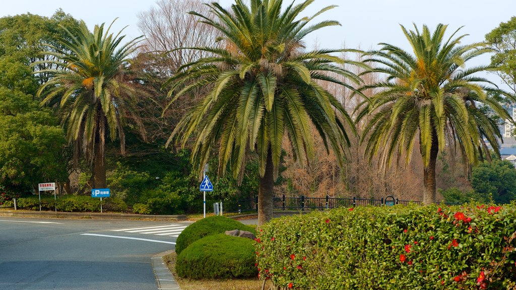 Kitakyushu City Art Museum showing tropical scenes and a city