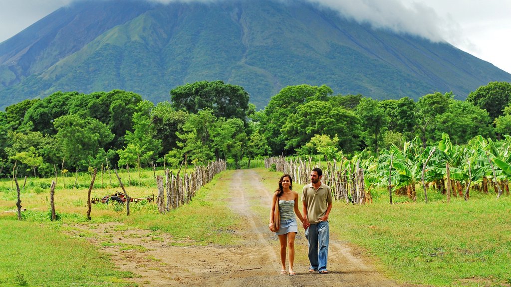 Ilha de Ometepe mostrando fazenda, montanhas e paisagem