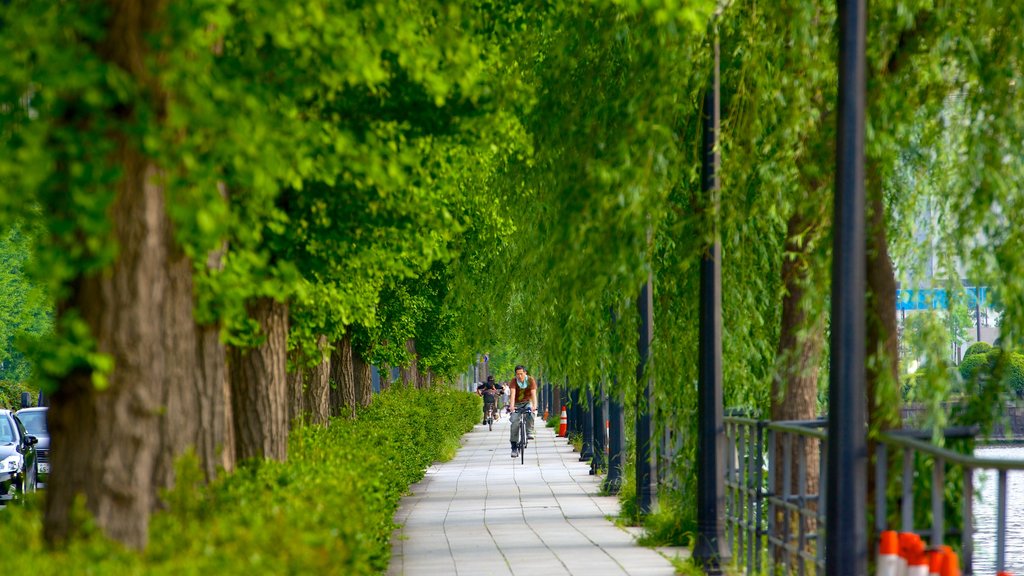 Marunouchi ofreciendo jardín y ciclismo y también un hombre