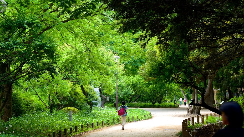 Shinjuku Gyoen National Garden showing a park as well as an individual femail