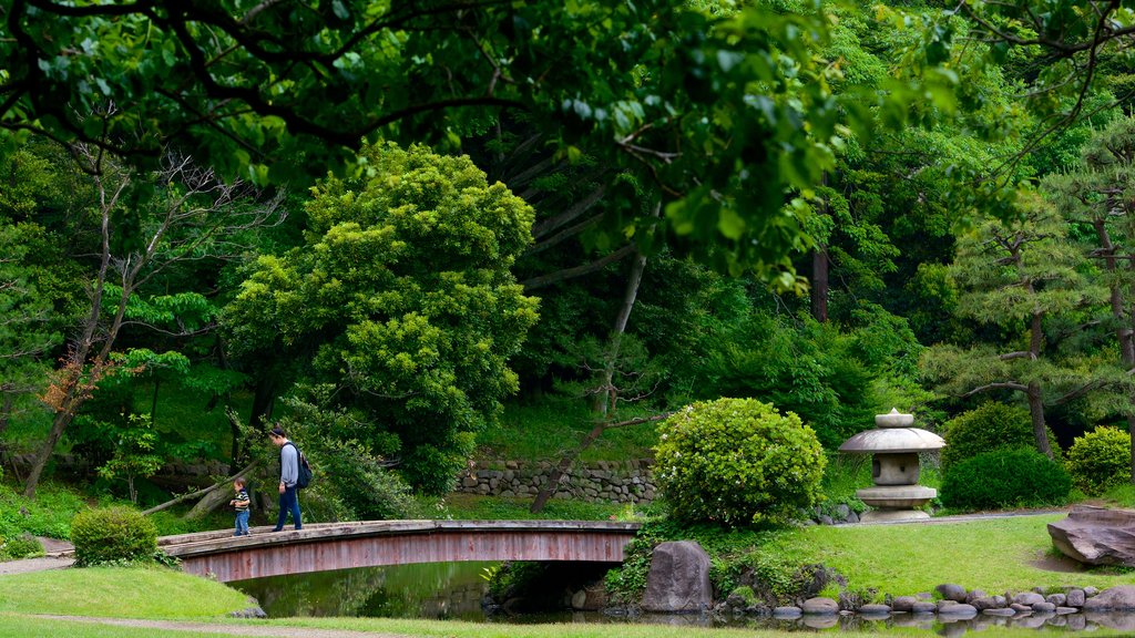 Jardines Nacionales Shinjuku Gyoen que incluye un puente, jardín y bosques