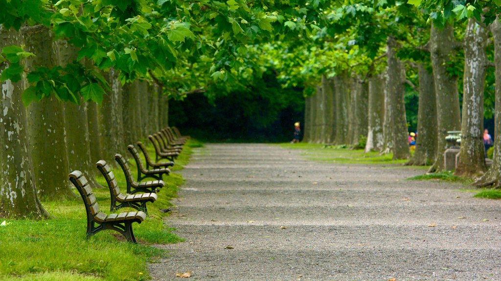 Shinjuku Gyoen National Garden featuring a garden