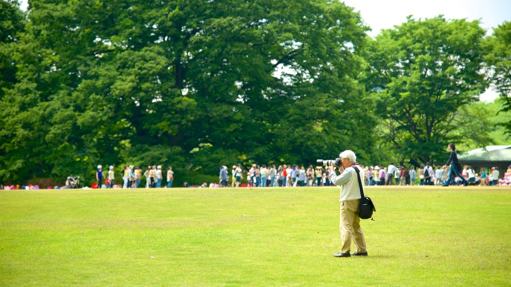 Shinjuku Gyoen National Garden showing landscape views and a park as well as an individual male