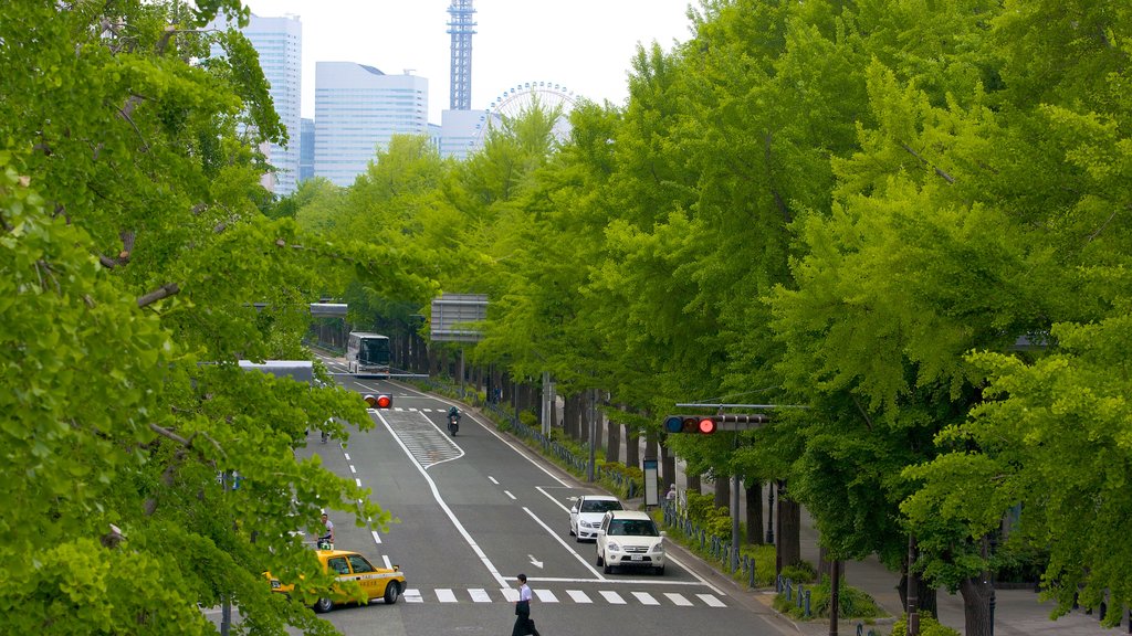 Yamashita Park featuring a city and street scenes