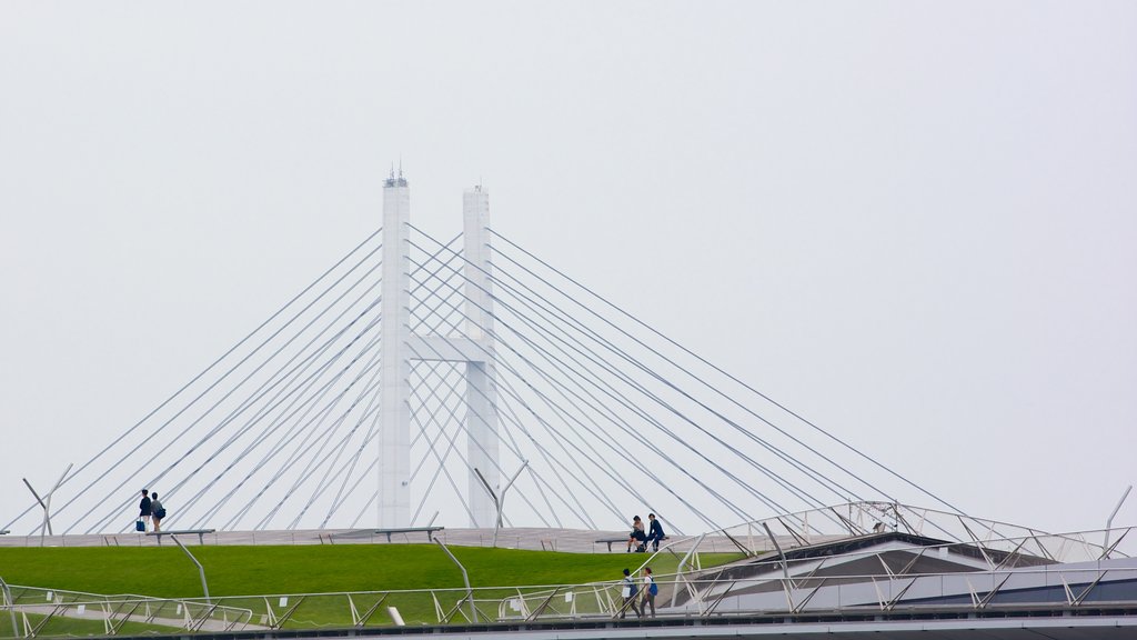 Yamashita Park showing a suspension bridge or treetop walkway, a garden and modern architecture