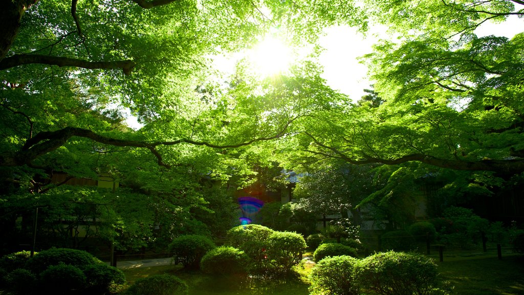 Shoren-in Temple showing landscape views