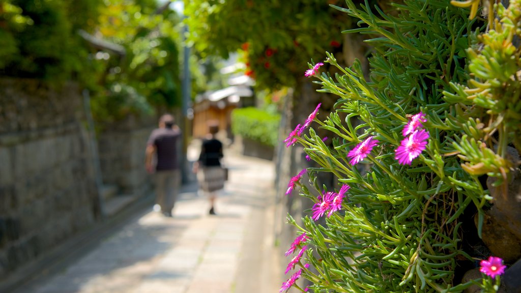 Ishibe Alley showing flowers, street scenes and a garden