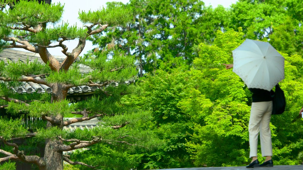 Templo Tofukuji mostrando un jardín y aspectos religiosos y también una mujer