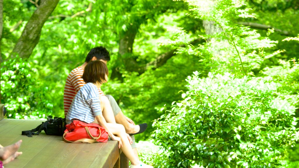 Templo Tofukuji mostrando un parque y también una pareja