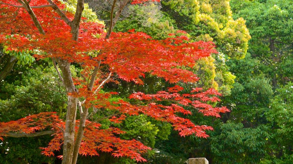 Tofukuji Temple showing autumn colours