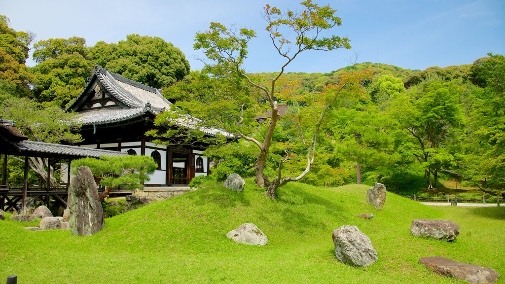 Templo Kodaiji ofreciendo un parque, vista panorámica y un templo o sitio de culto