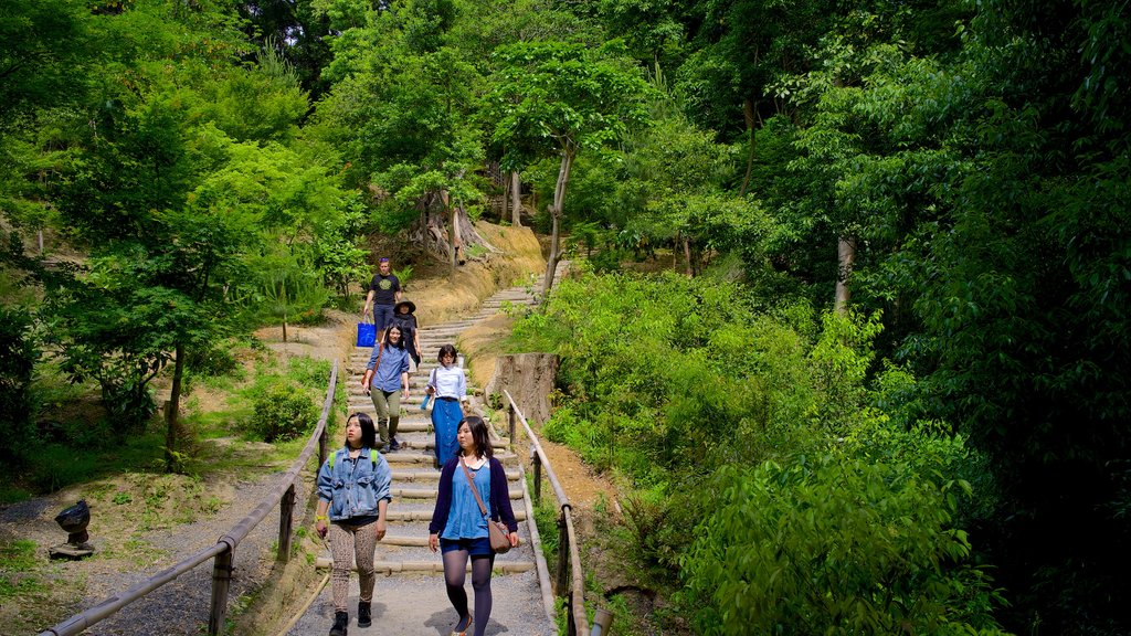 Kodaiji Temple featuring religious elements, landscape views and hiking or walking