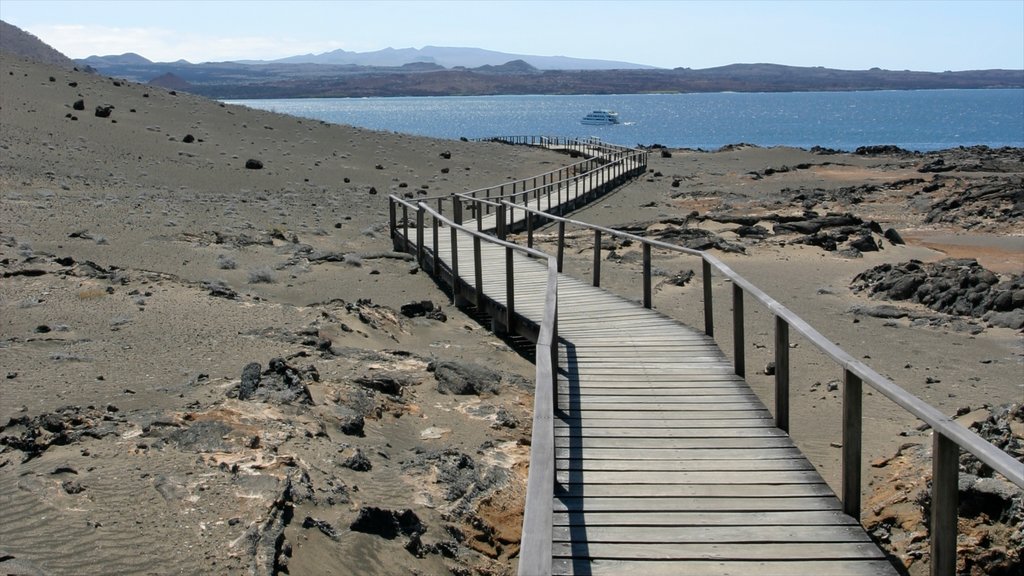 Ecuador que incluye vistas generales de la costa, un puente y vistas de paisajes