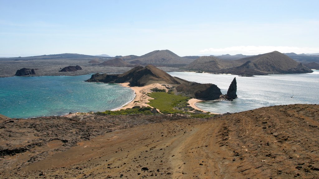 Ecuador showing general coastal views and landscape views