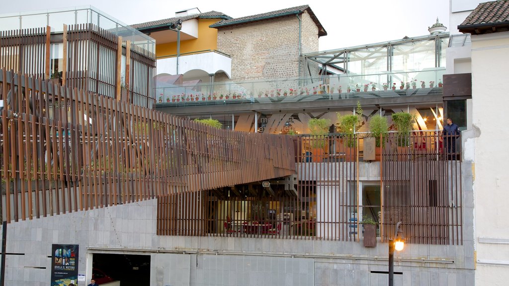 Andes Region showing modern architecture and a city