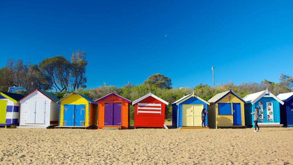 Brighton Beach showing a sandy beach and a coastal town