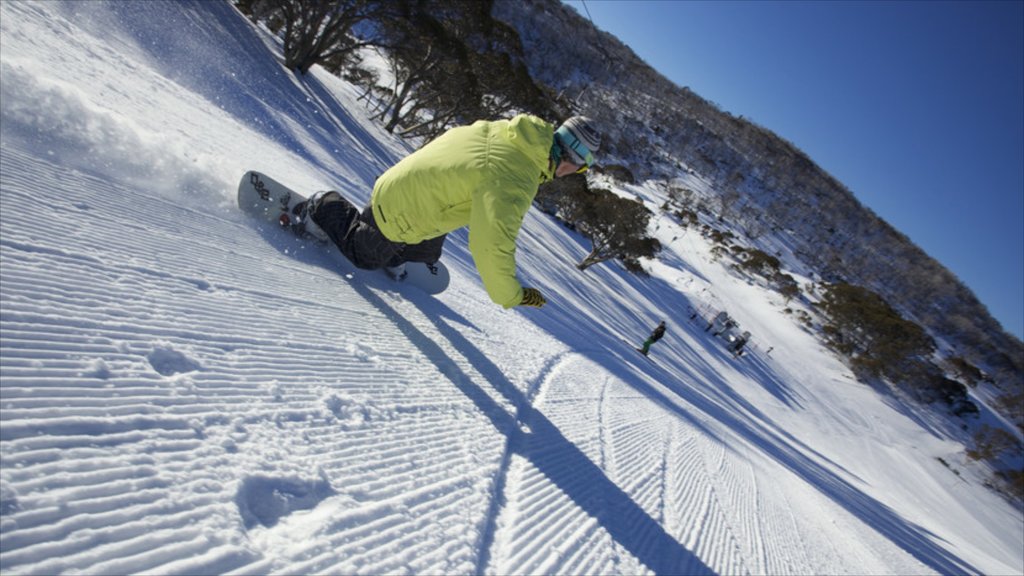 Snowy Mountains featuring snow, snowboarding and mountains