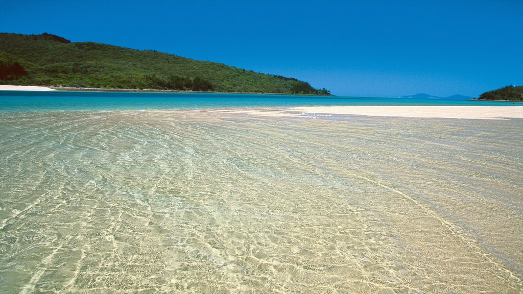 Mackay ofreciendo una playa de arena y vistas de paisajes