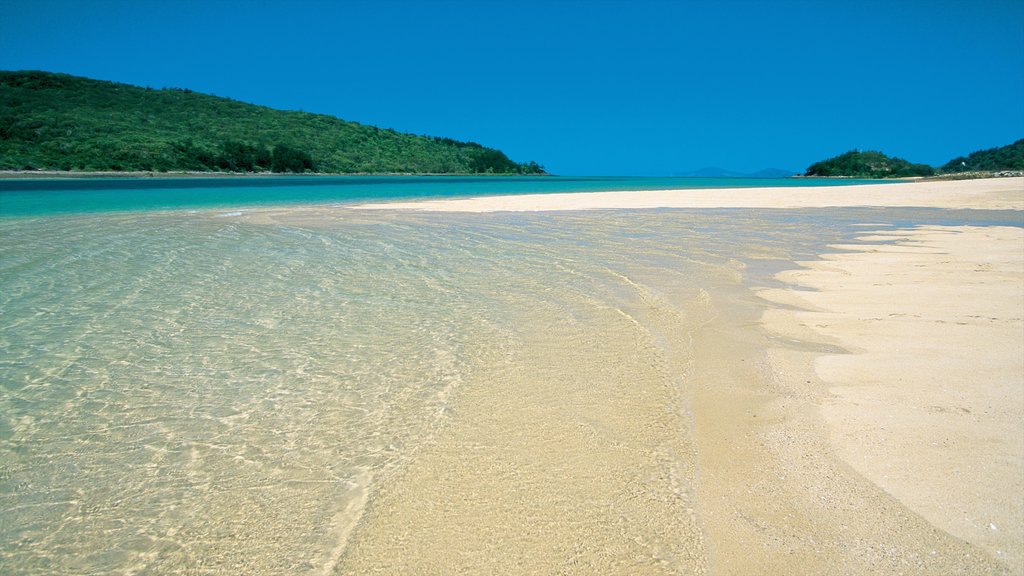 Mackay showing a sandy beach and landscape views