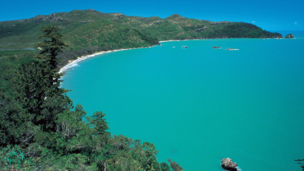 Mackay que incluye vista general a la costa, una bahía o un puerto y vista panorámica