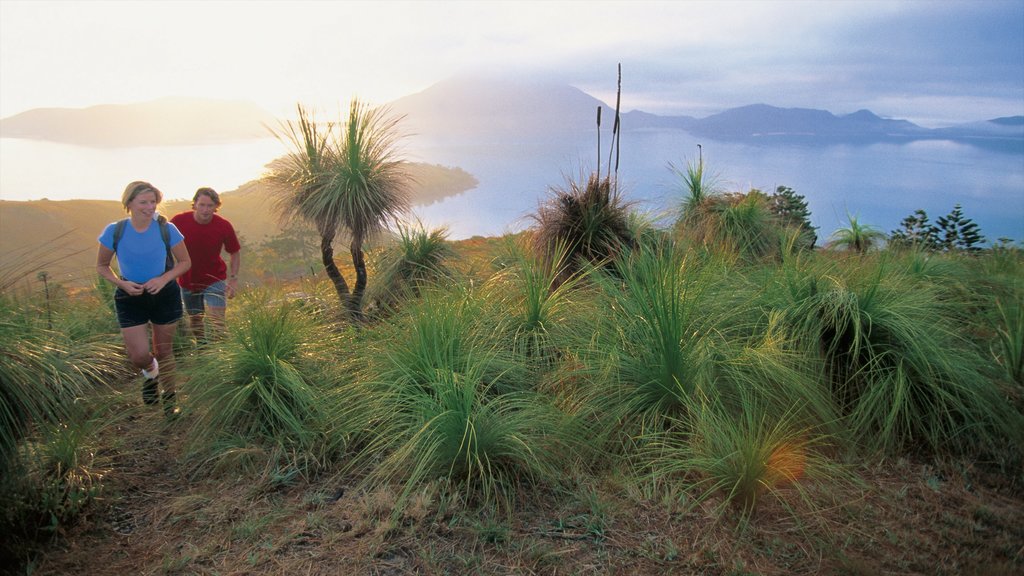 Mackay featuring landscape views, mountains and hiking or walking