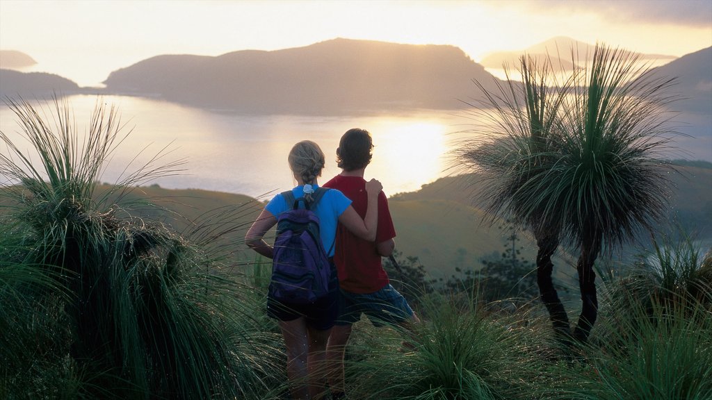 Mackay which includes a sunset, general coastal views and hiking or walking