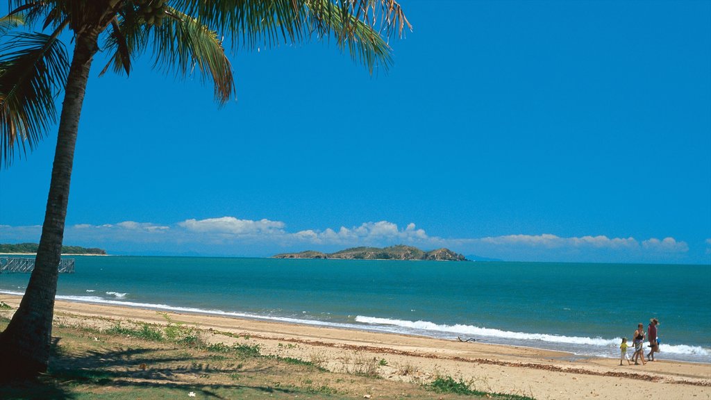 Mackay mostrando una playa, escenas tropicales y vista panorámica