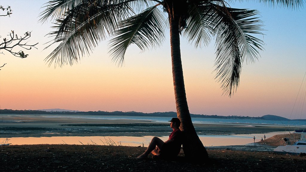 Mackay featuring a sandy beach, a sunset and tropical scenes