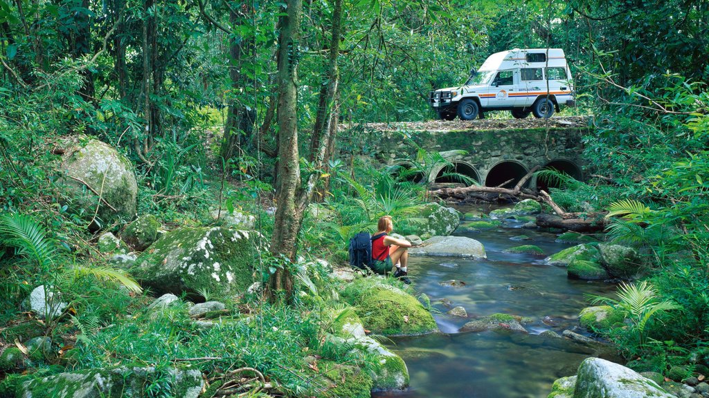 Daintree - Cape Tribulation which includes vehicle touring, a river or creek and hiking or walking