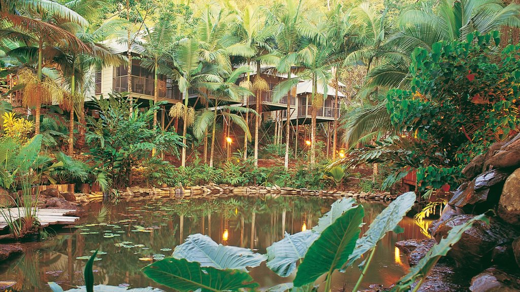 Daintree - Cape Tribulation showing a garden, a pond and landscape views