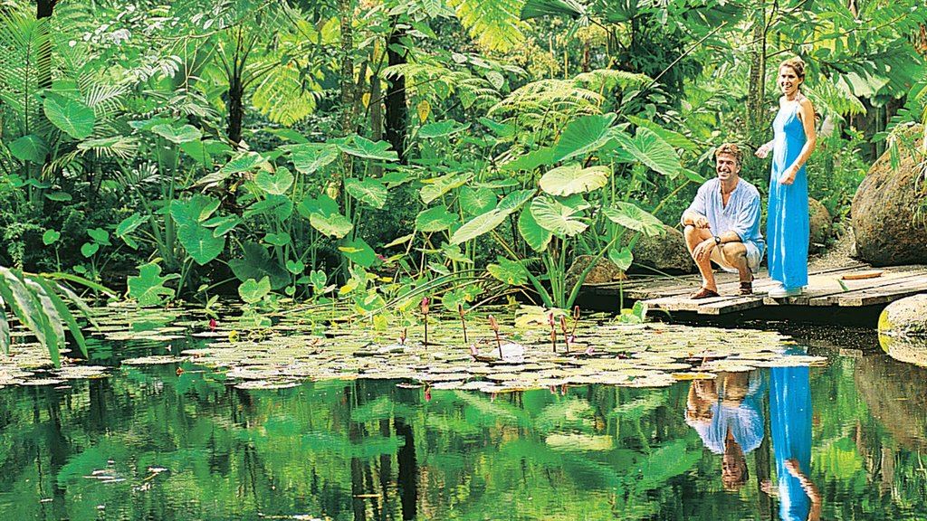 Daintree - Cape Tribulation showing a pond and landscape views as well as a couple