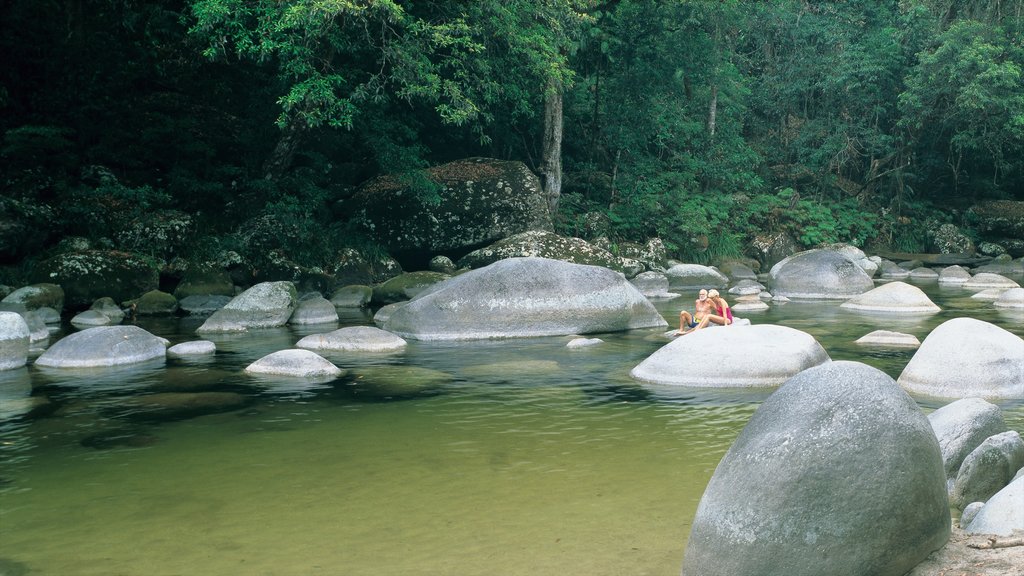 Daintree - Cape Tribulation montrant rivière ou ruisseau, panoramas et scènes forestières