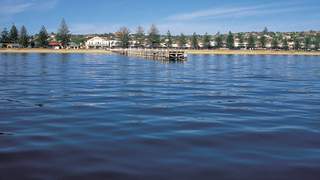 Port Lincoln showing a coastal town, landscape views and general coastal views