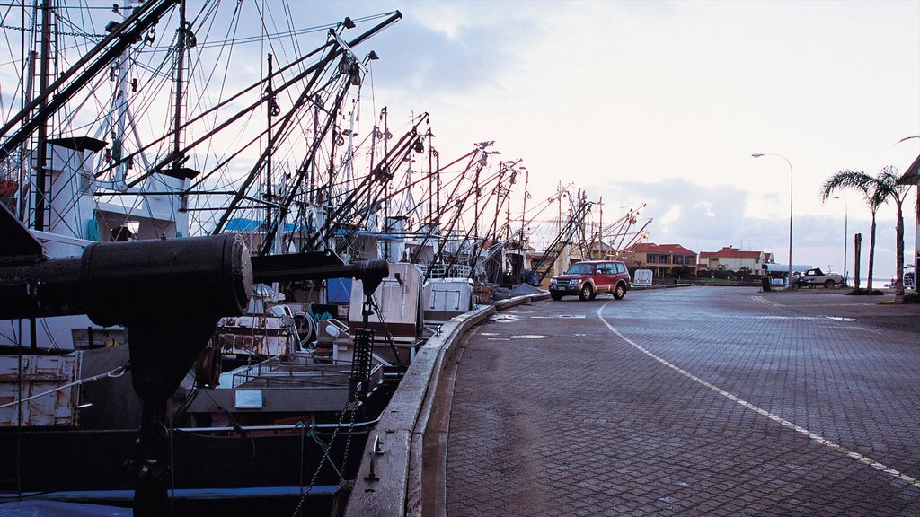 Port Lincoln showing a marina, a bay or harbour and a coastal town