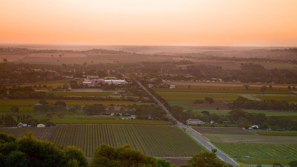 Barossa Valley ofreciendo una puesta de sol, tierras de cultivo y una pequeña ciudad o pueblo