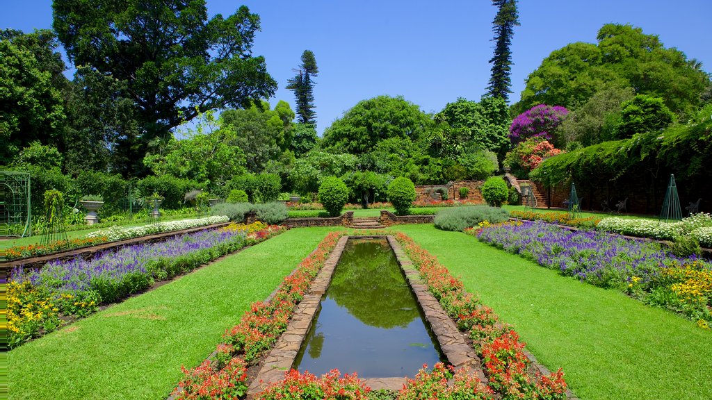 Durban Botanical Gardens mostrando vistas de paisajes, un estanque y flores