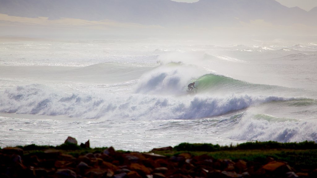 Port Alfred showing mist or fog, landscape views and surf