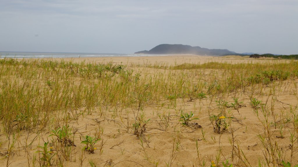 St. Lucia showing a sandy beach, landscape views and general coastal views