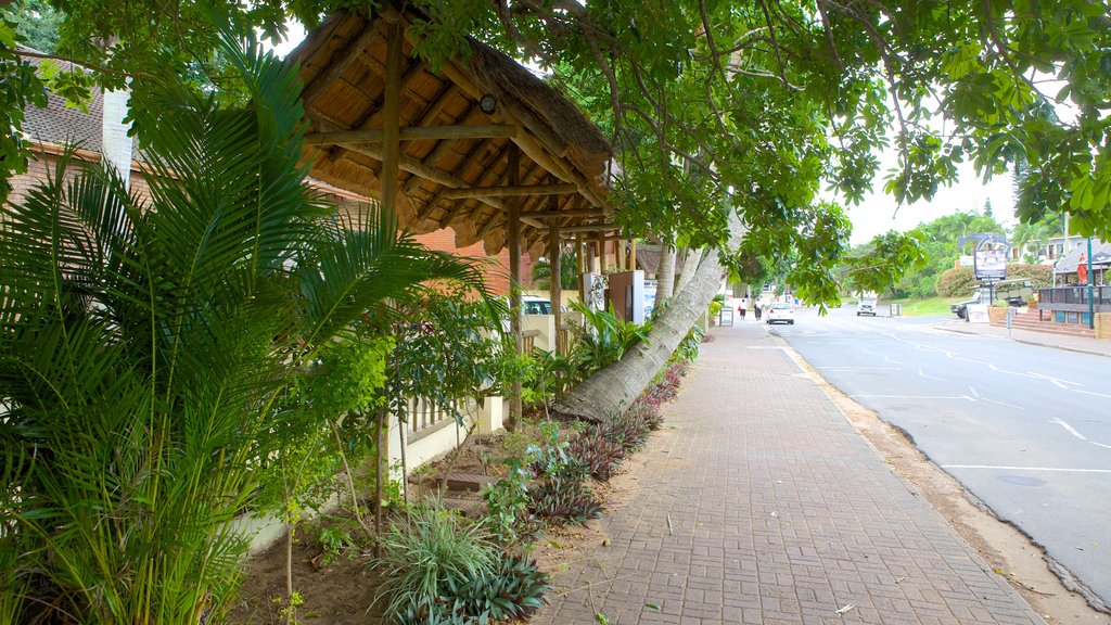 St. Lucia showing a city and street scenes