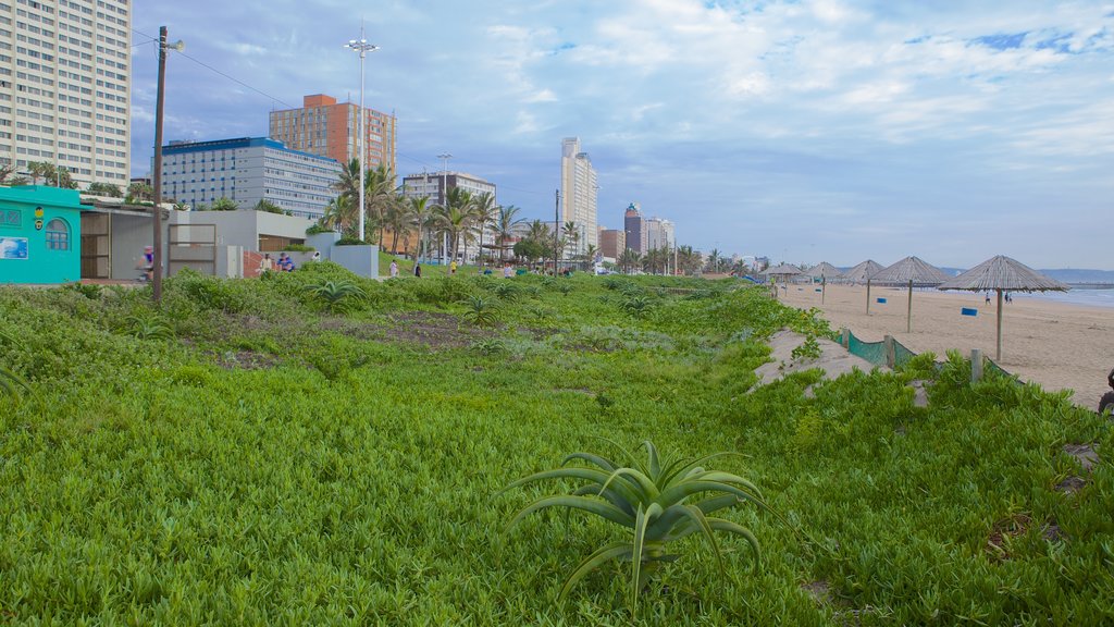 South Beach which includes a sandy beach and tropical scenes