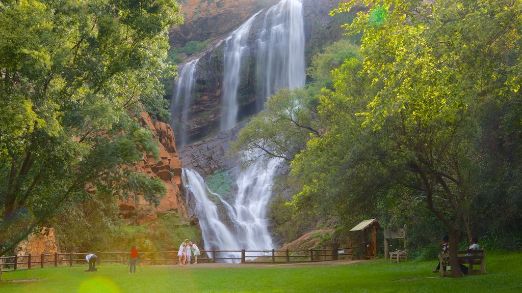 Jardim Botânico Walter Sisulu que inclui uma cascata e um jardim