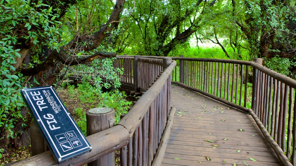 Wonderboom Nature Reserve which includes a garden and signage