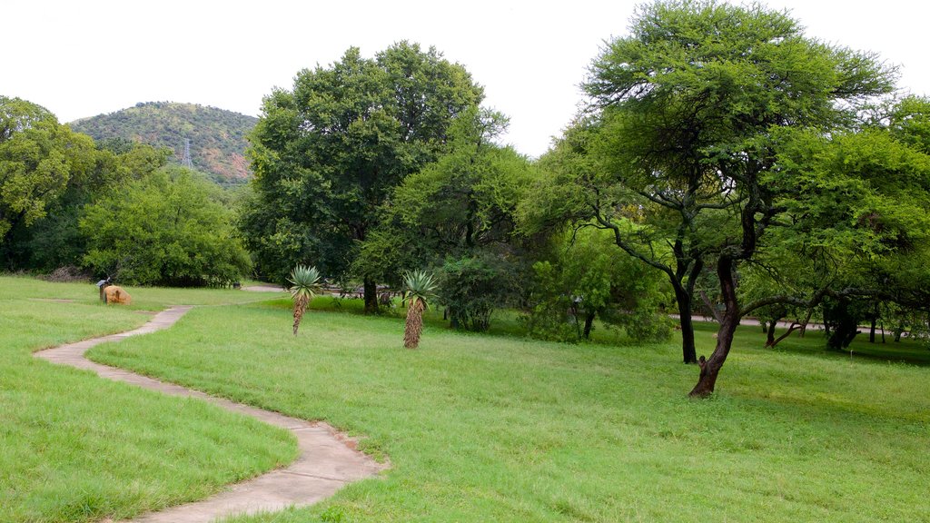 Wonderboom Nature Reserve showing landscape views and a garden