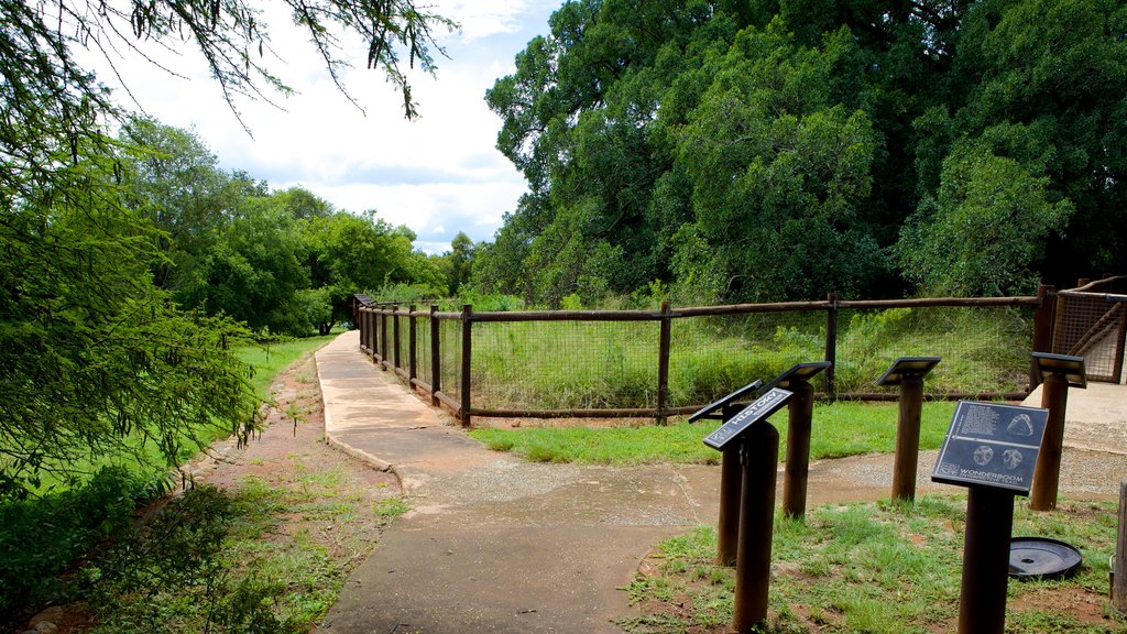 Wonderboom Nature Reserve showing landscape views, signage and a garden