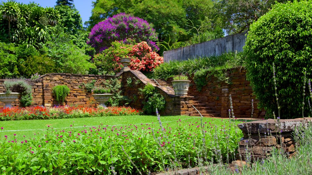 Jardim Botânico de Durban que inclui um parque e flores